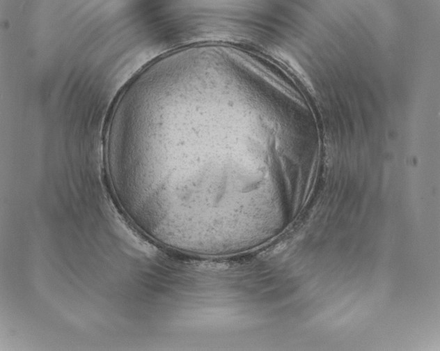 X0000088650890200706081635