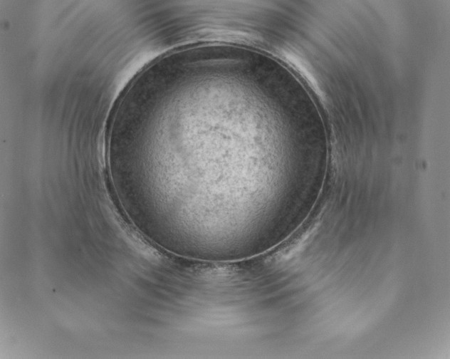 X0000088650891200706081635