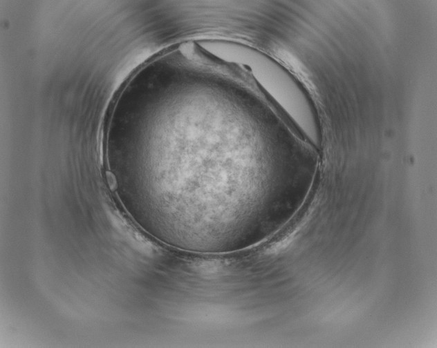 X0000088650892200706081635