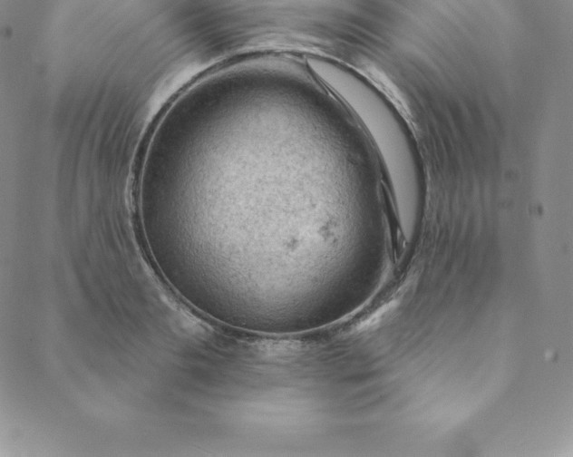 X0000088650893200706081635