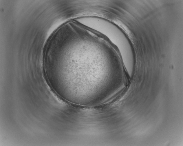 X0000088650894200706081635