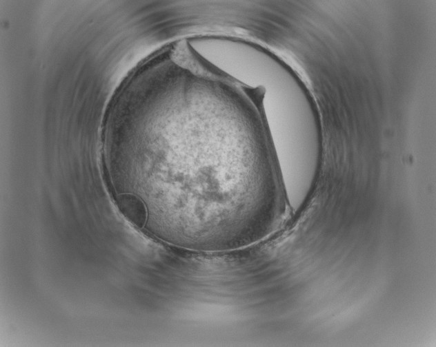 X0000088650895200706081635