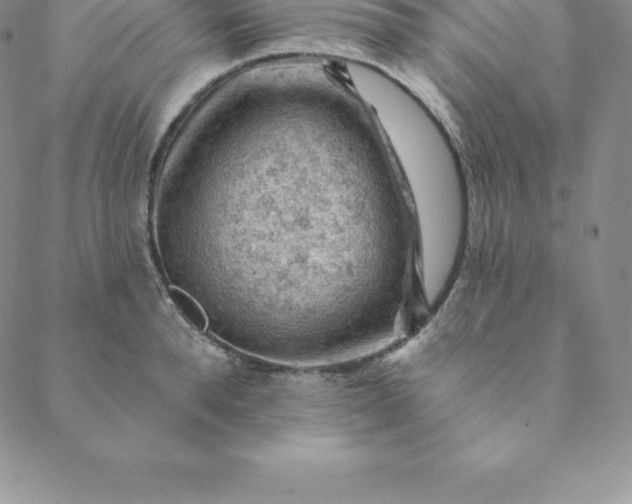 X0000088650896200706081635