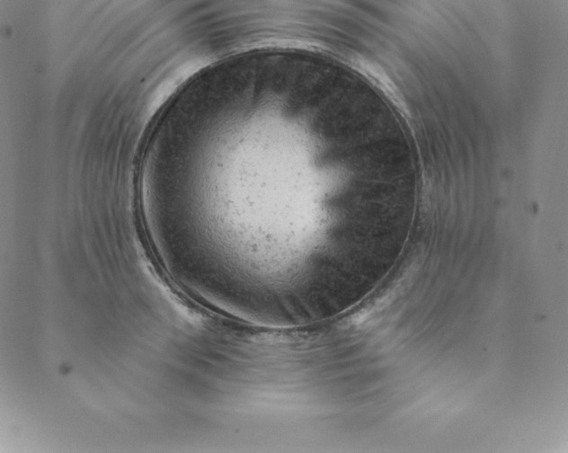 X0000088650898200706081634