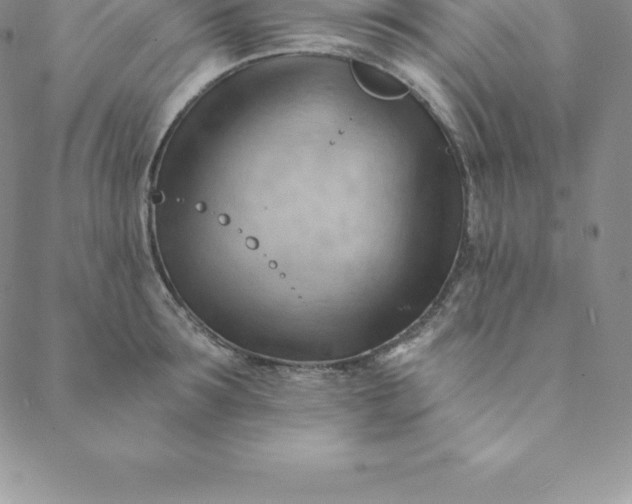 X0000088650899200706081634