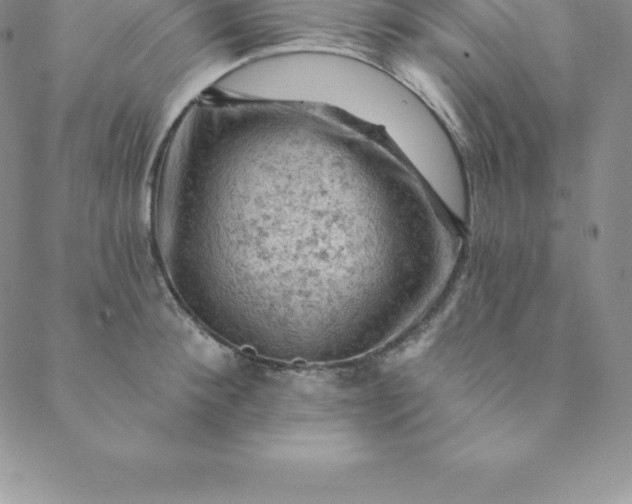 X0000088650900200706081634