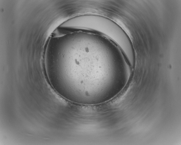 X0000088650901200706081634