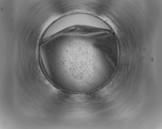 X0000088650902200706081634