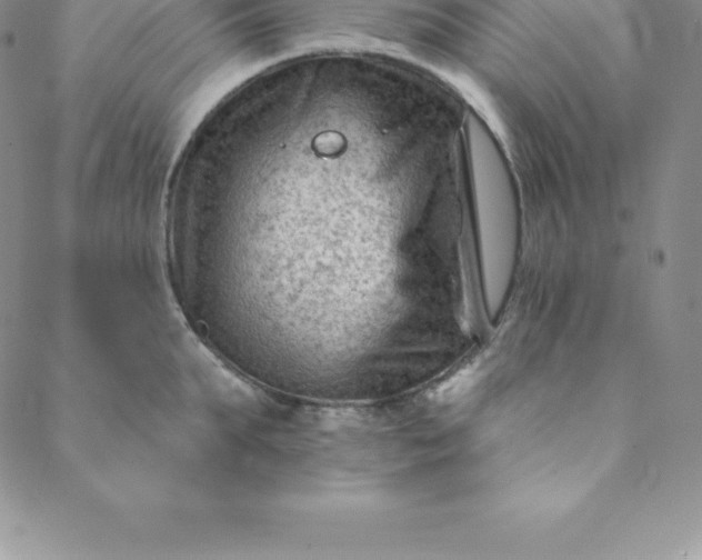 X0000088650903200706081634