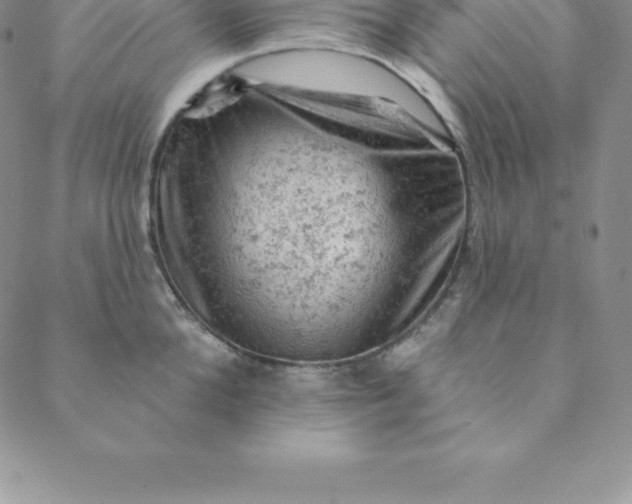 X0000088650904200706081634