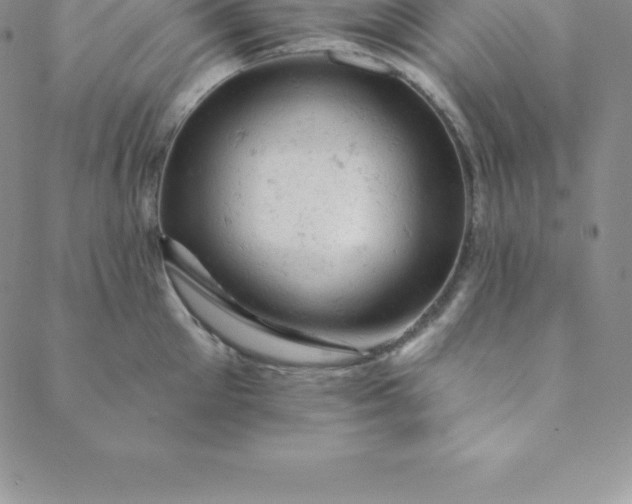 X0000088650905200706081634