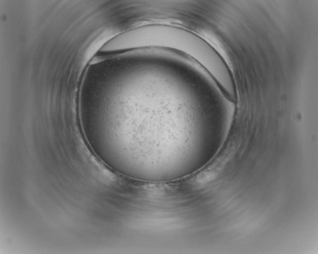 X0000088650906200706081634