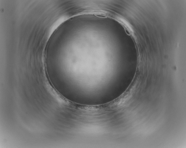 X0000088650907200706081634