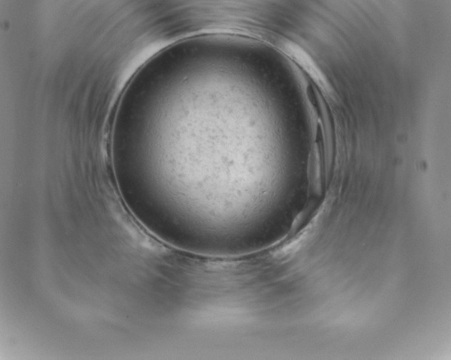 X0000088650908200706081634