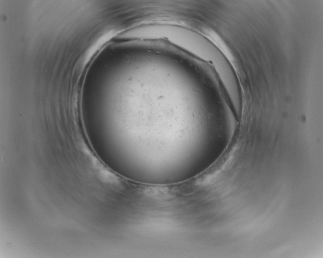 X0000088650909200706081634