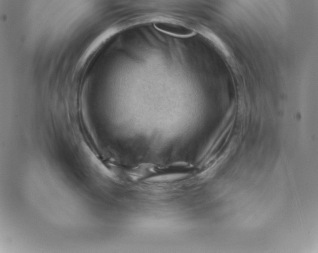 X0000088650910200706081634