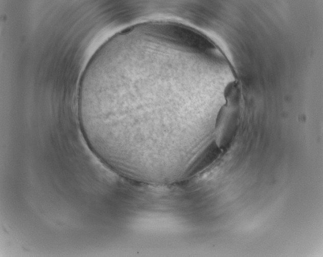 X0000088650911200706081634