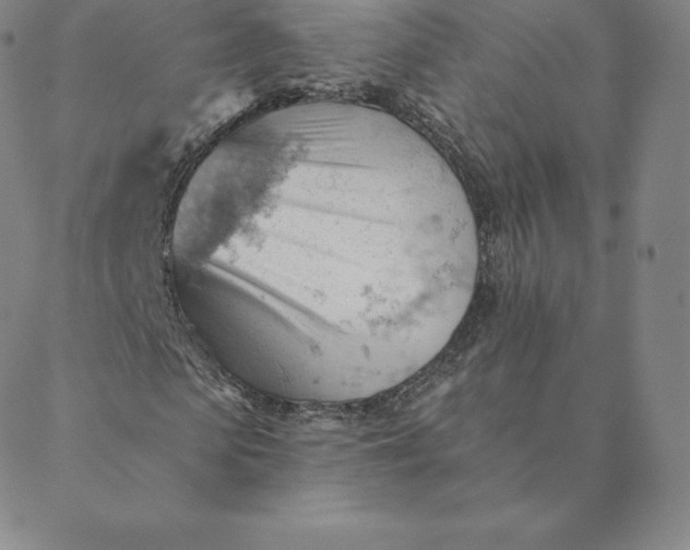 X0000088650913200706081633