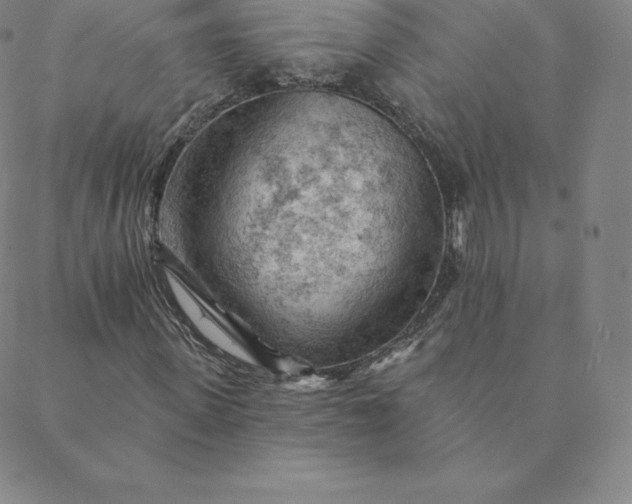 X0000088650915200706081634