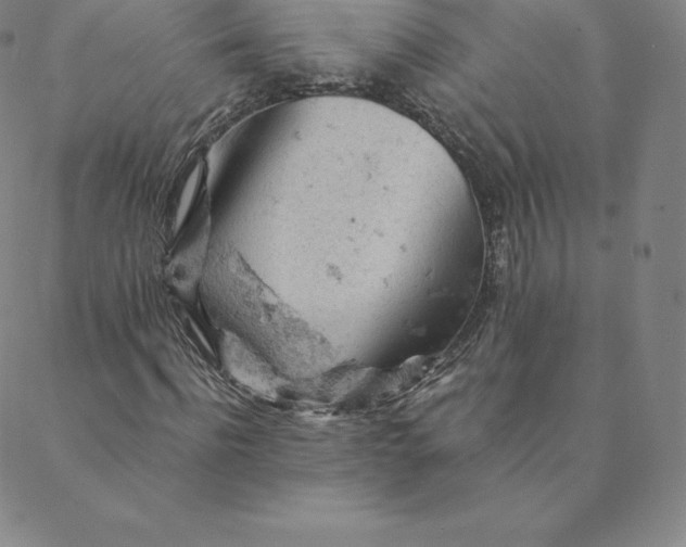 X0000088650916200706081634