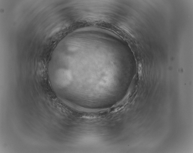 X0000088650917200706081634