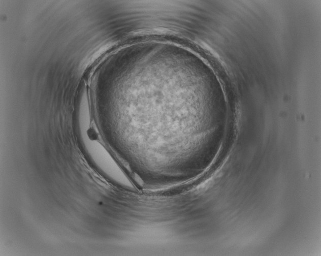 X0000088650921200706081634