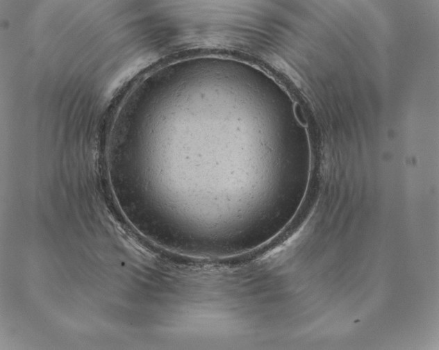 X0000088650922200706081634