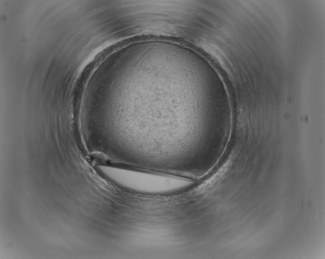 X0000088650923200706081634