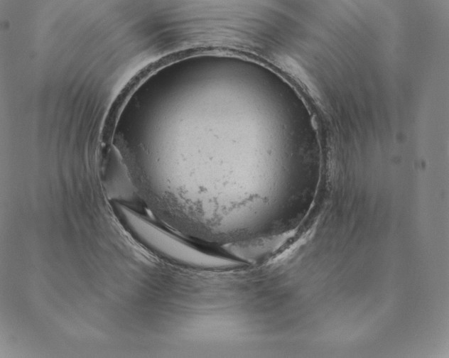 X0000088650924200706081634