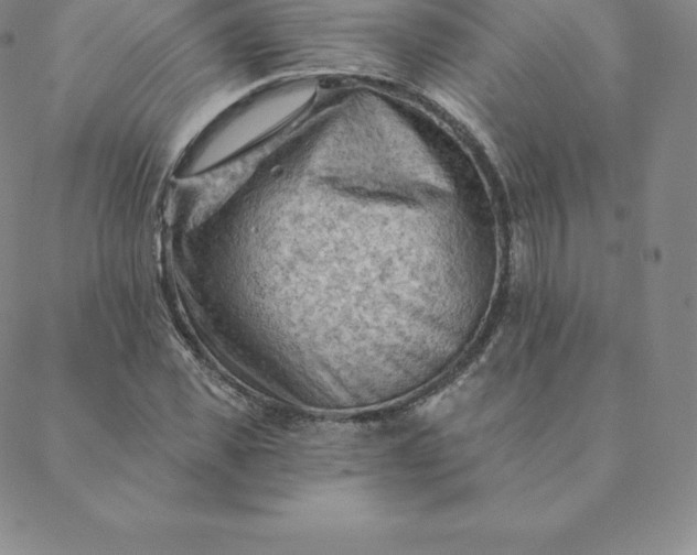 X0000088650925200706081634