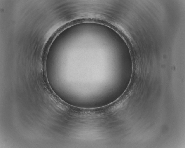 X0000088650927200706081634