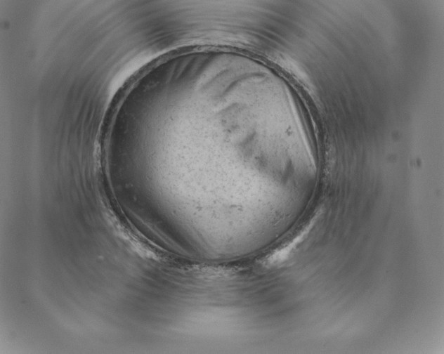 X0000088650928200706081634