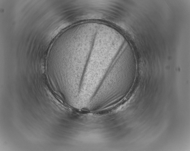 X0000088650929200706081634