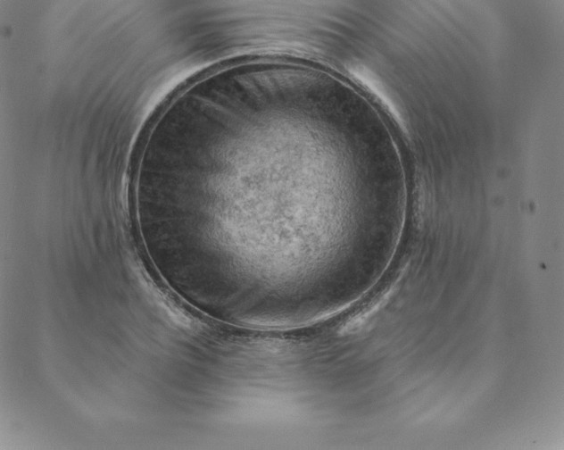 X0000088650932200706081634