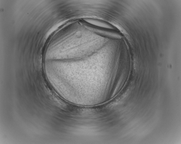 X0000088650933200706081634