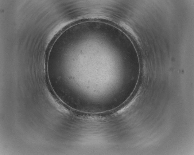 X0000088650934200706081634