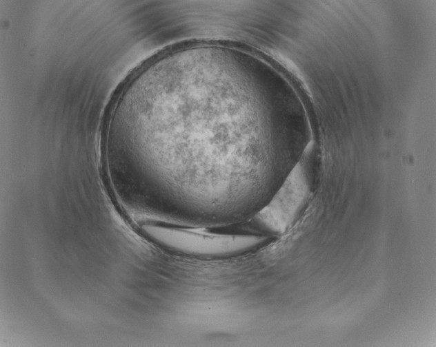 X0000088650935200706081634