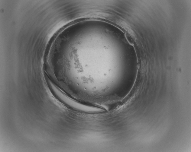 X0000088650936200706081634