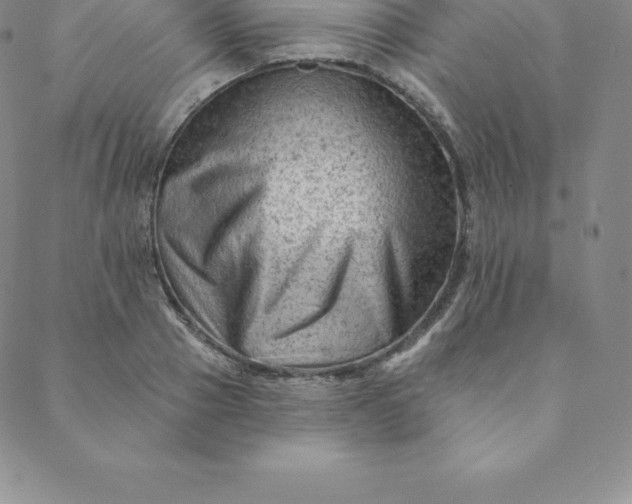 X0000088650937200706081634