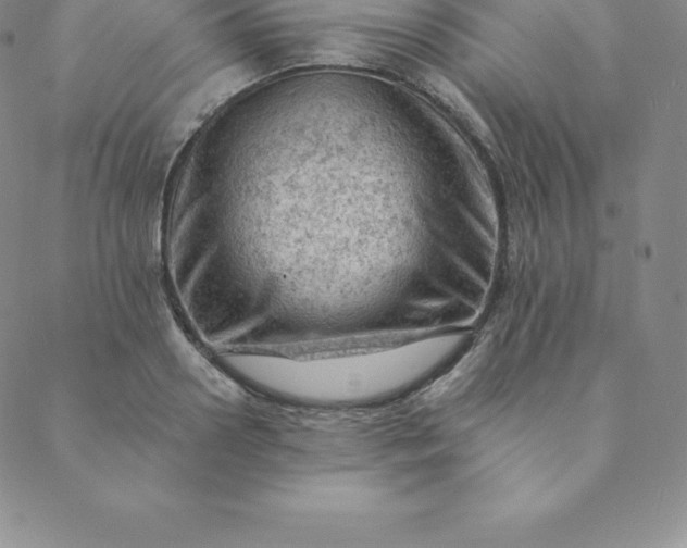 X0000088650938200706081634