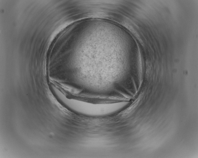 X0000088650939200706081634