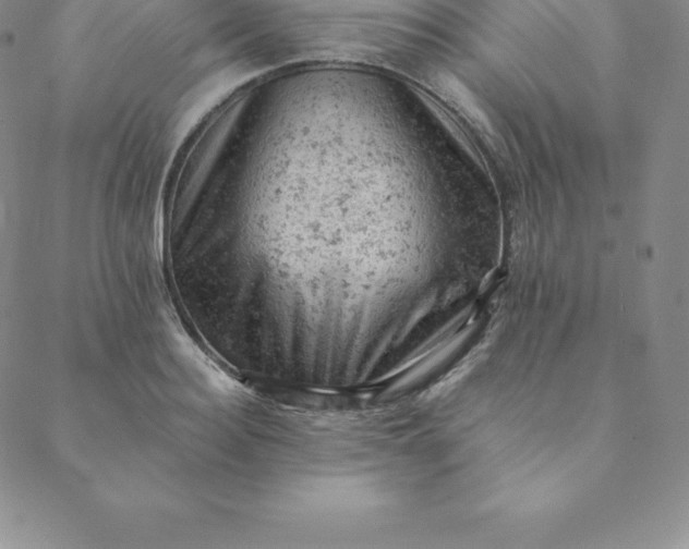 X0000088650940200706081634