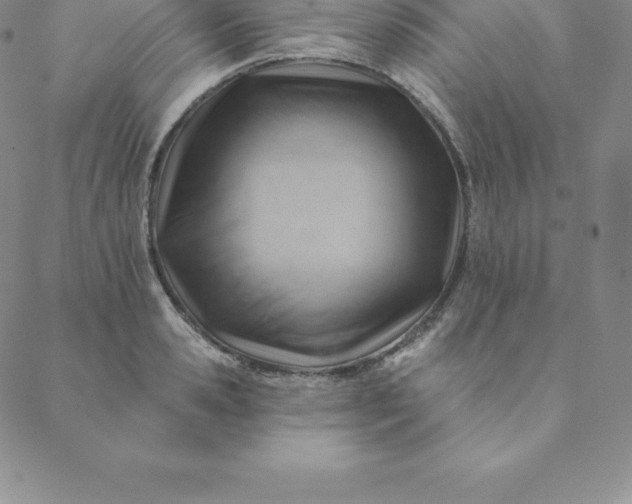 X0000088650941200706081634