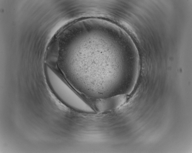 X0000088650942200706081634