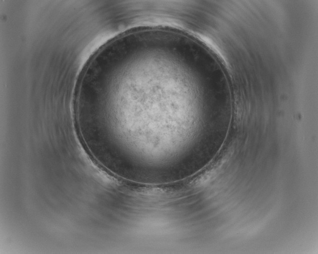 X0000088650943200706081634