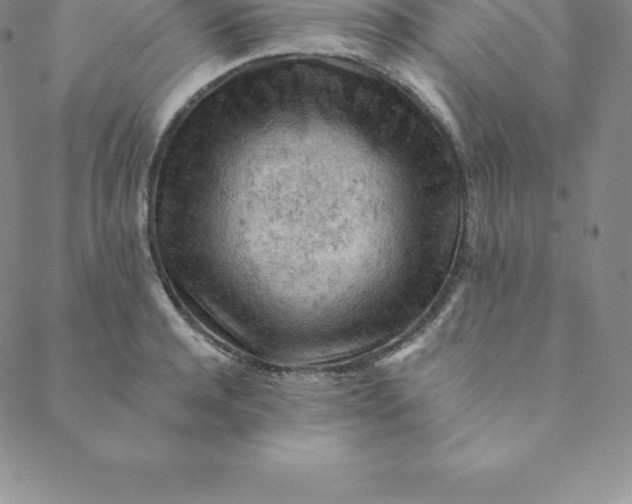 X0000088650944200706081634