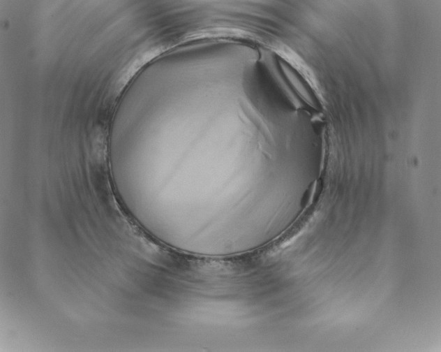 X0000088650945200706081634