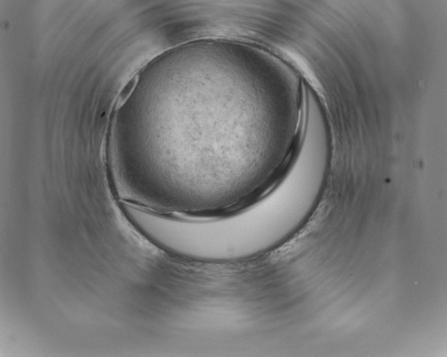 X0000088650946200706081634