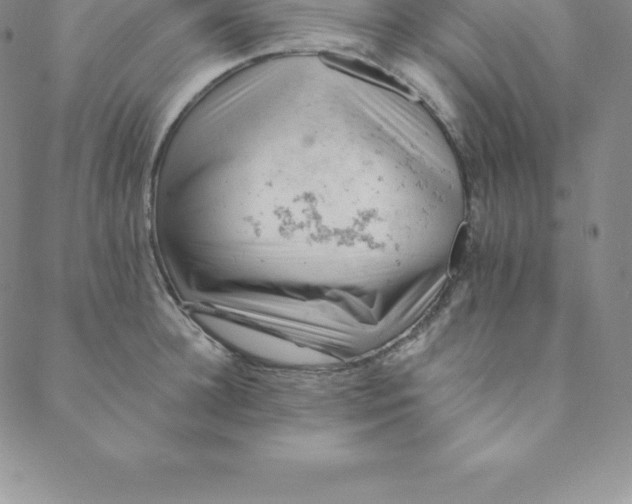 X0000088650948200706081634