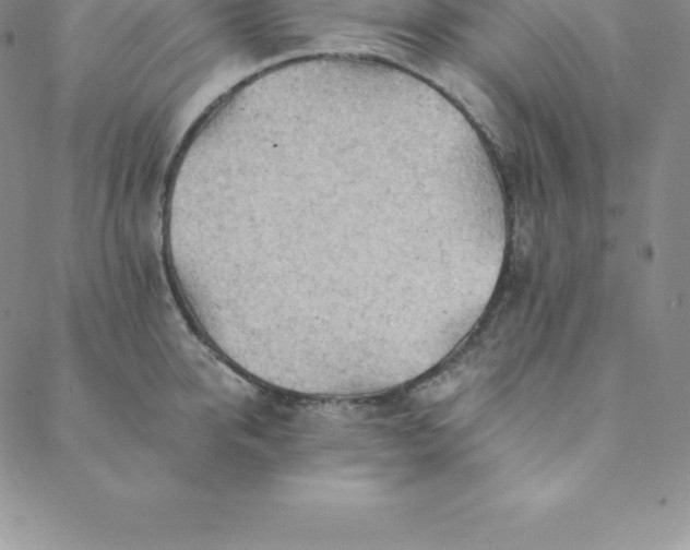 X0000088650950200706081634